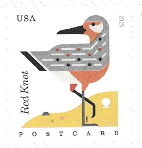 USPS tarafından sonsuza kadar ABD Posta Pulları 20 Kartpostal Kıyı Kuşları Sayfası